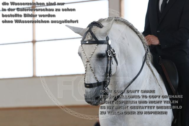 s_IMG_0099.JPG